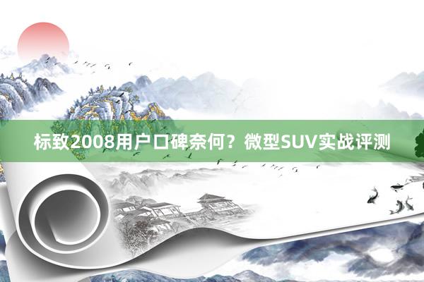 标致2008用户口碑奈何？微型SUV实战评测